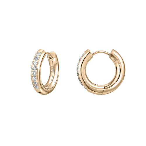 Arlena Earrings