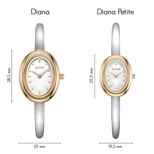 Diana Petite Gold Silver