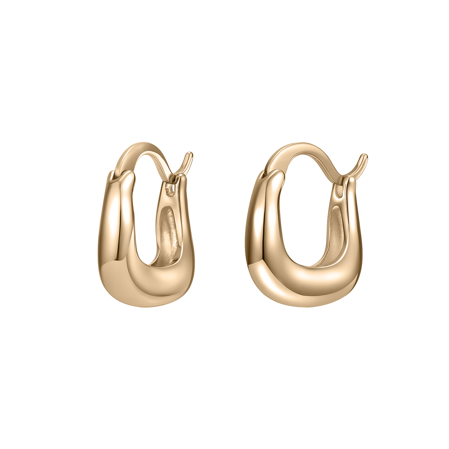 Veya Earrings