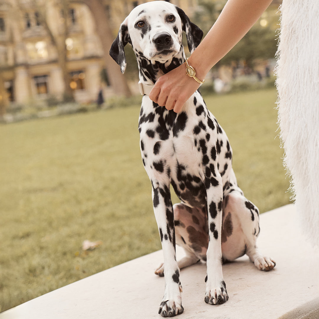 Diana Petite Dalmatian Gold