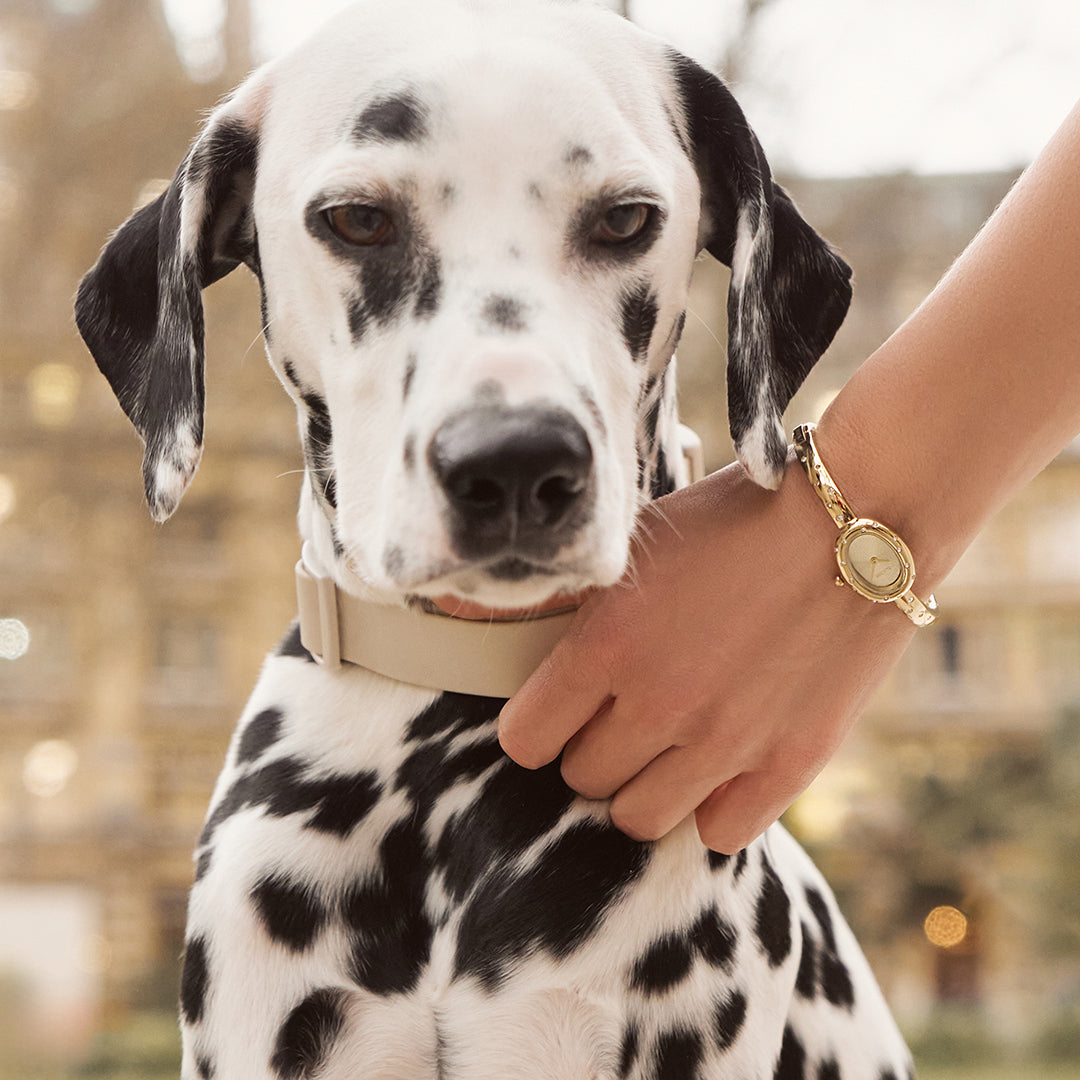 Diana Petite Dalmatian Gold
